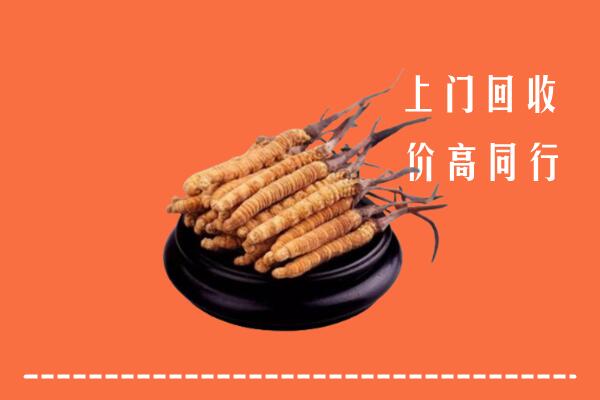 高价求购：滦平县回收散虫草